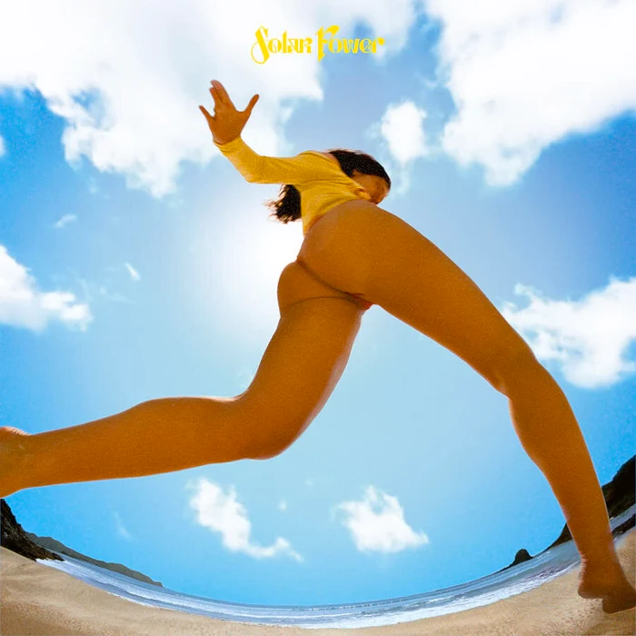 Lorde vinyl pictures – Melodrama artwork on vinyl cover